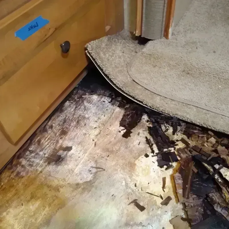 Best Wood Floor Water Damage Service in Atlantic Beach, NY